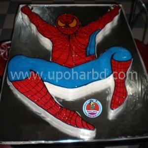 Special Spiderman cake