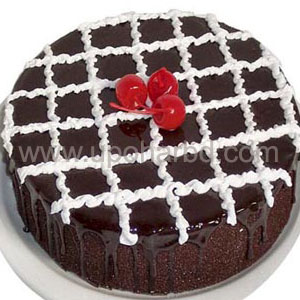 Special Chocolate Cake