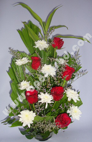 Roses in a mix