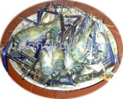 Package Add on - Large Golda Chingri