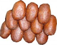 Kalojam
