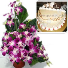 Mr Baker cake and orchid in a gift package