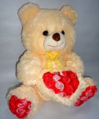 Soft teddy 14