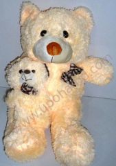 Soft teddy 17