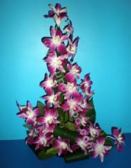 Dazzling Purple orchids