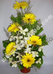 Gerbera and orchid mix