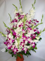 Gladuolus and orchid mix