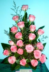 Pink Beauty