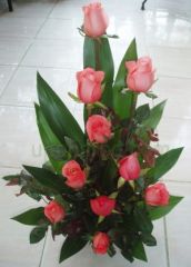 Pink and orchid