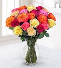 Rose Surprise