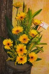 Yellow Jarbera Arrangment