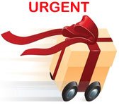 Same Day Urgent Gift