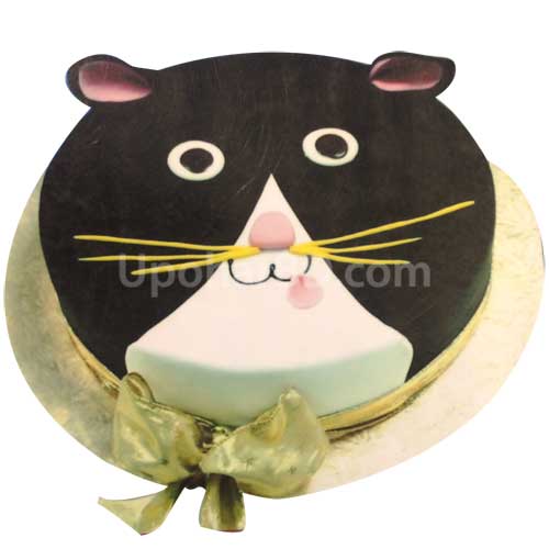 Cat Face Cake