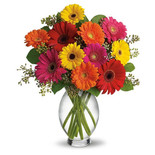 25 Gerbera Daisy in a vase