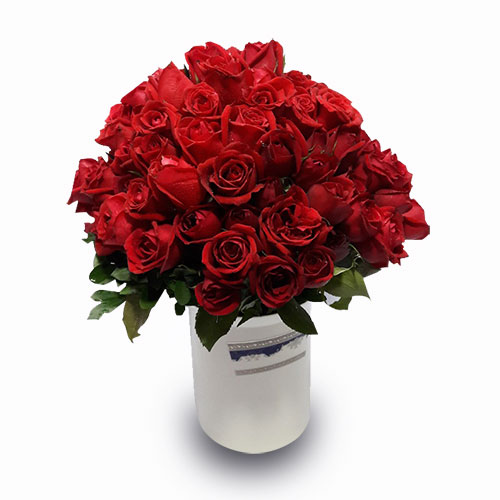 100 red roses in a vase
