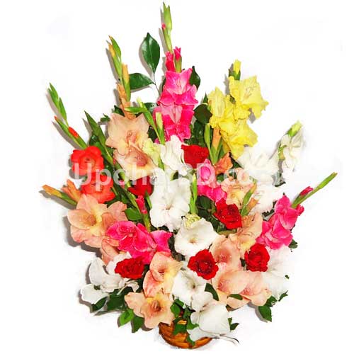 Gladiolus and rose mix