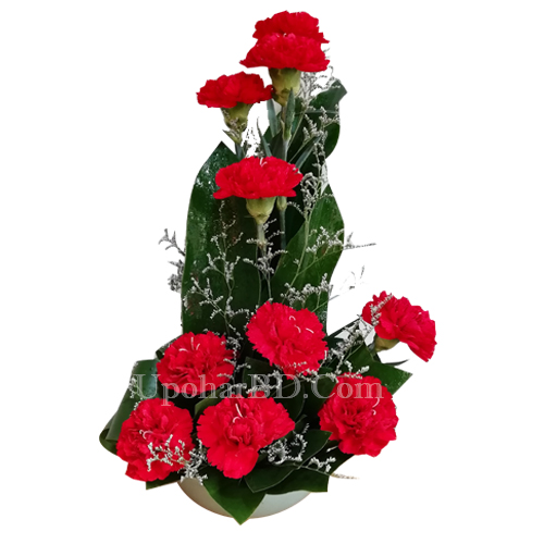 Red hot carnation