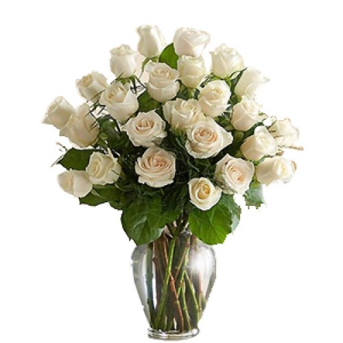 30 white roses in a vase