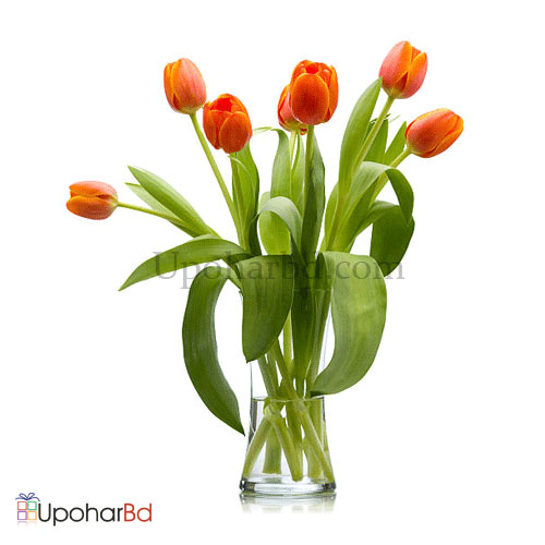 Orange Tulip in Vase