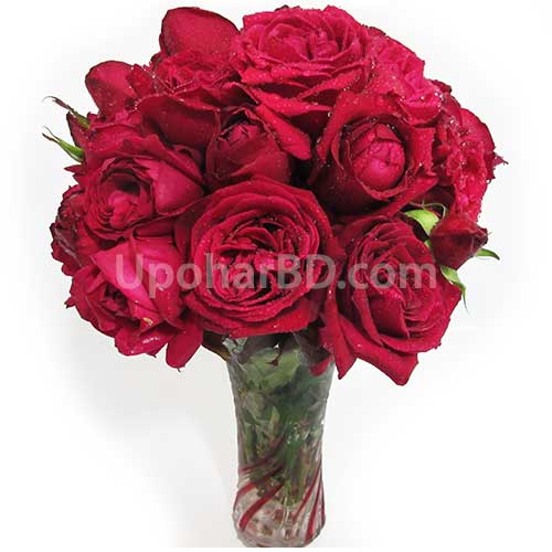 Red haven - roses in a vase