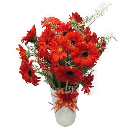 Red Gerbera arrangement