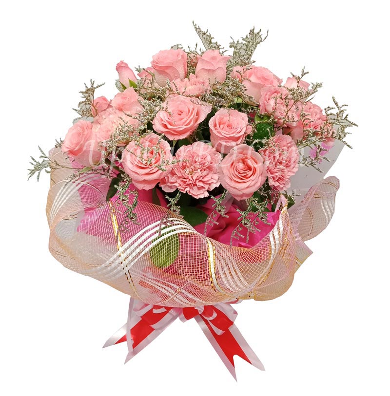 Pink Carnation and Pink Rose
