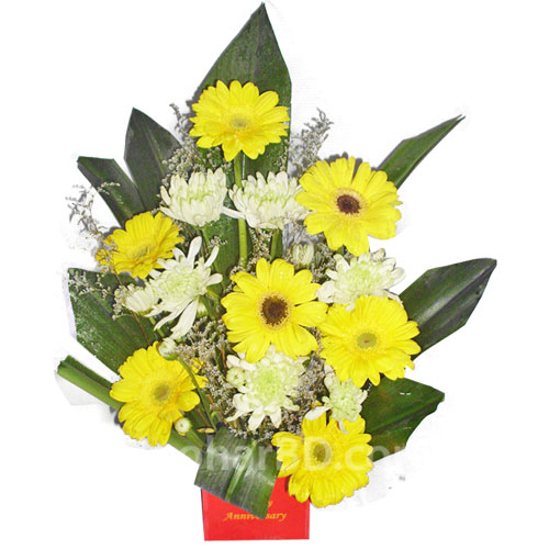 Gerbera and chrysanthemum mix