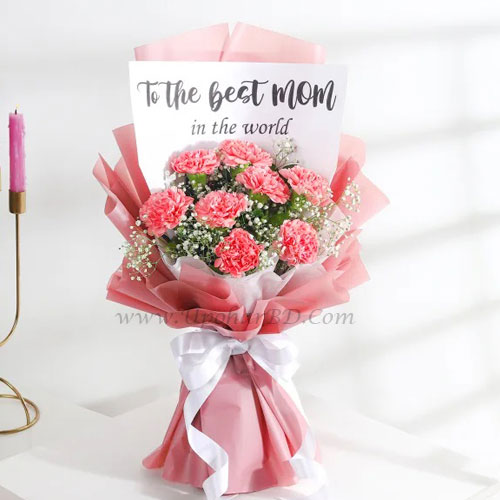 Pink Carnation – Mother’s Day Special