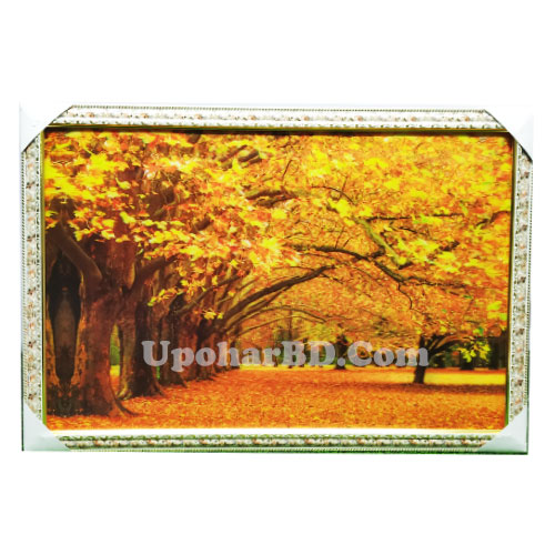 5D Frame Of Peaceful Forest