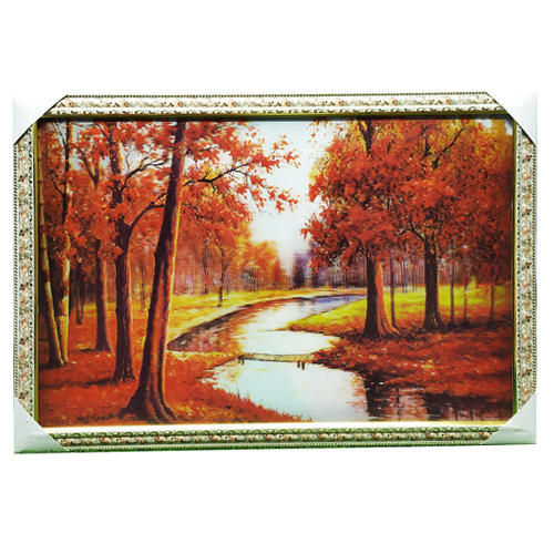 5D Frame Of Nature