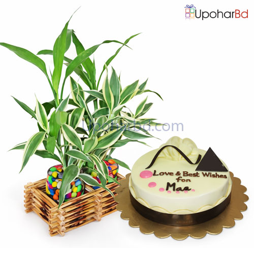 Combo especially for your Mother