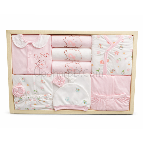 Newborn Dress package