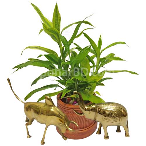 Live plant with bronze handicrafts