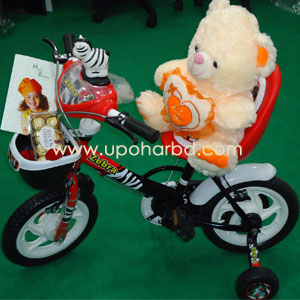 Cycle with Teddy and Chocolate