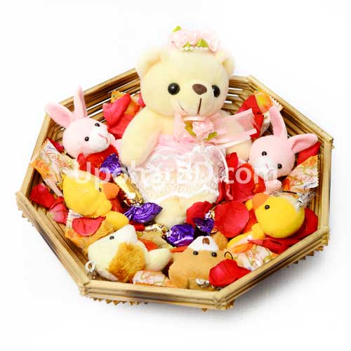 Princess teddy with chocolates for kid