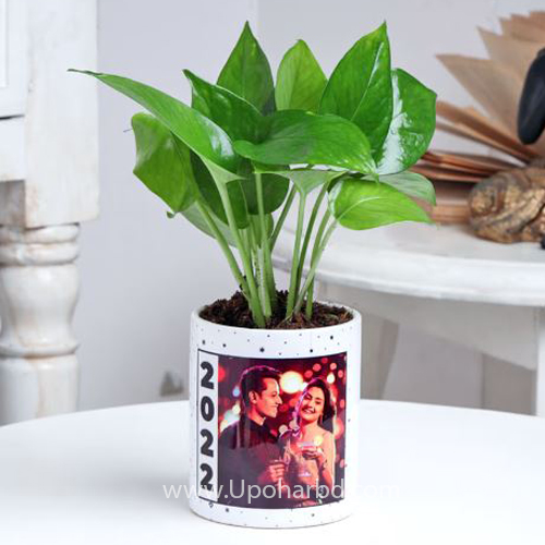 Indoor Plant Mug With printed photo