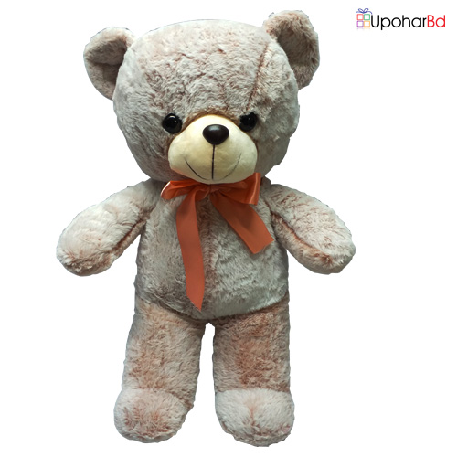 teddy near me