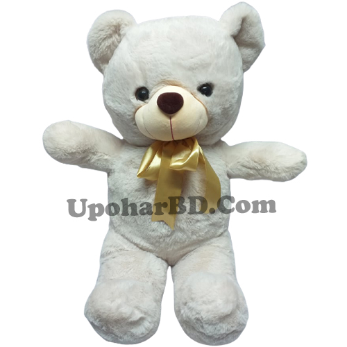 White Stuffed Teddy with Heart