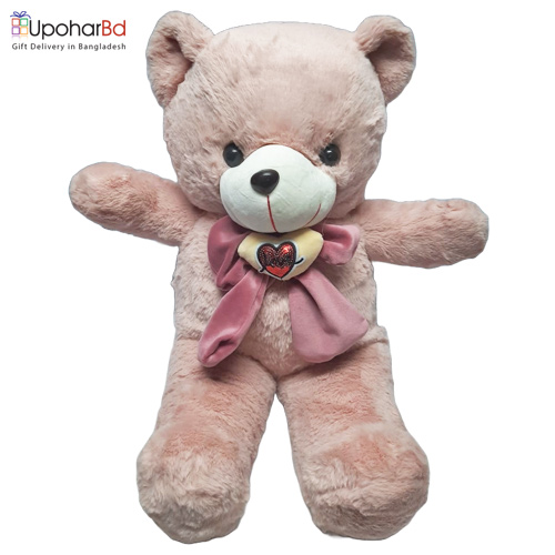 Pink Stuffed Teddy with Heart