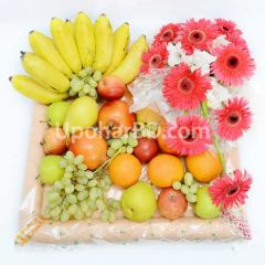 Elegant Fruit Dala