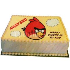 Angry Bird Cake from Nutrient
