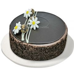 Coopers half kg Fudge cake