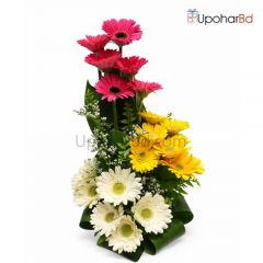 Colorful Arrangement