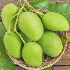 5kg Green Mango