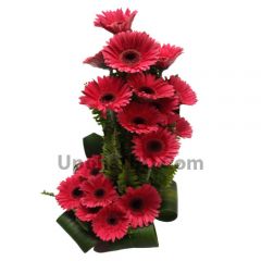 Delighted Gerbera Arrangement