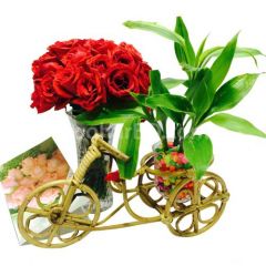 Gift with live plant and roses in a vase