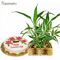 Special Package for Anniversary