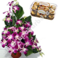 Orchid with ferrero rocher