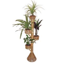 Indoor Cane Plant Stand