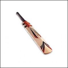 Cricket Bat